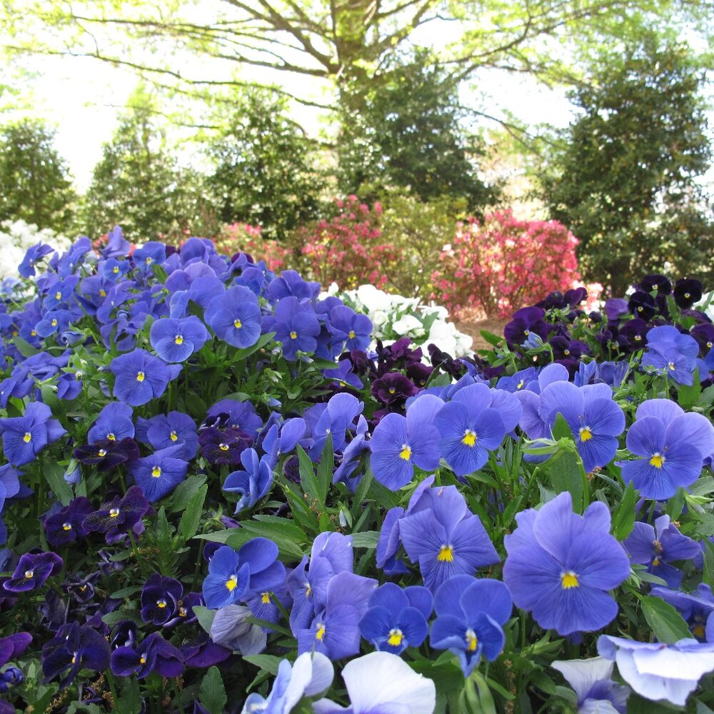 Meet your Posher - petite, professional, fun :)